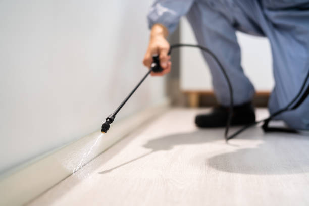 Bed Bug Pre-Treatment Preparation Assessment in Minot