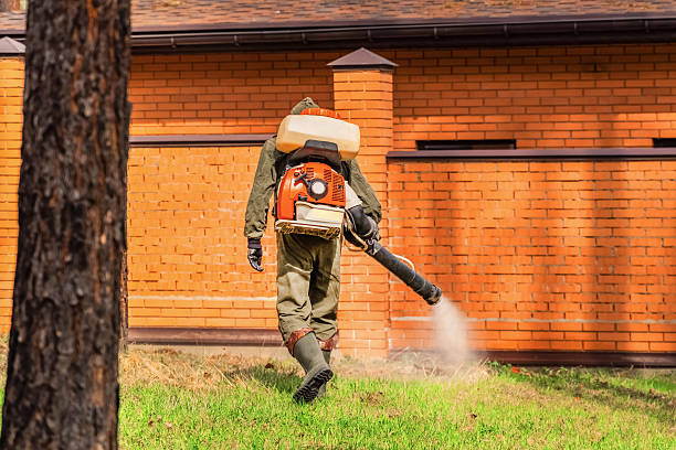 Bed Bug Clearance Verification and Documentation in Minot